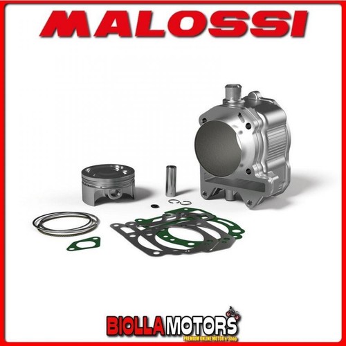 3113924 gruppo termico malossi - 3113924,